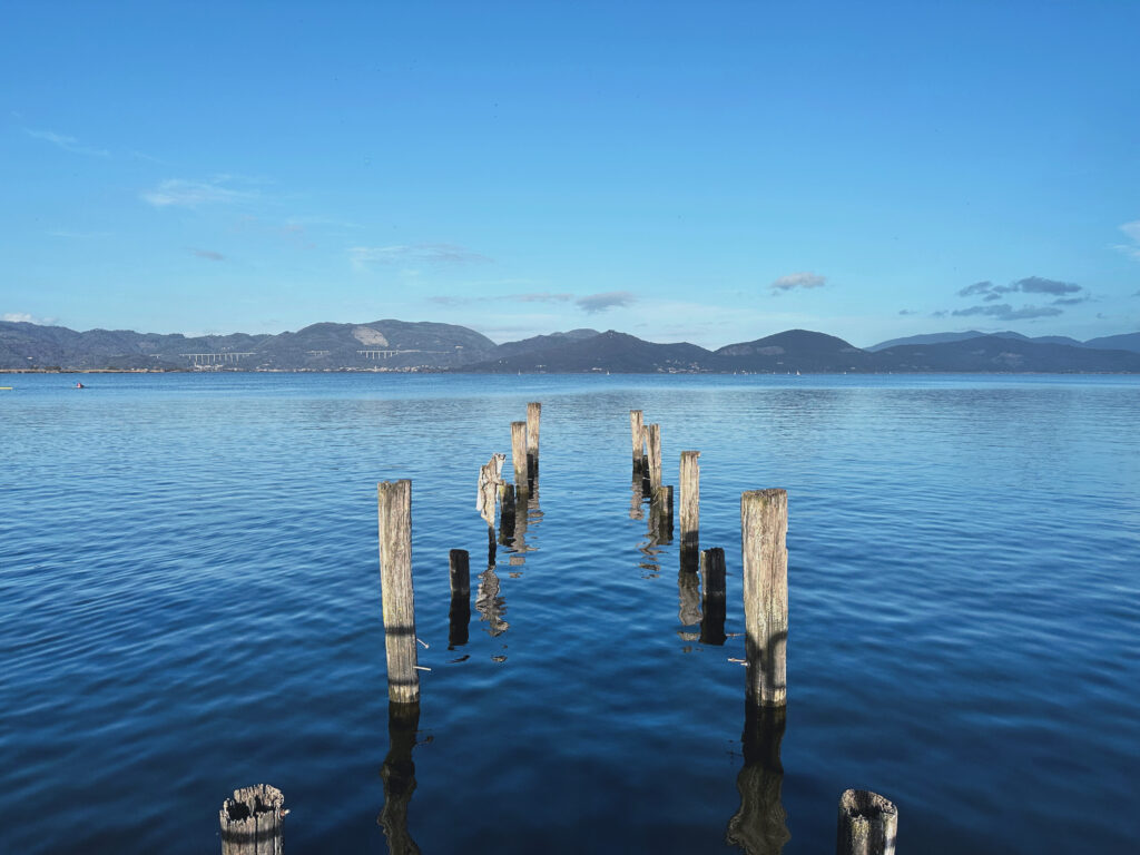 Paesaggio del Lago di Massaciuccoli